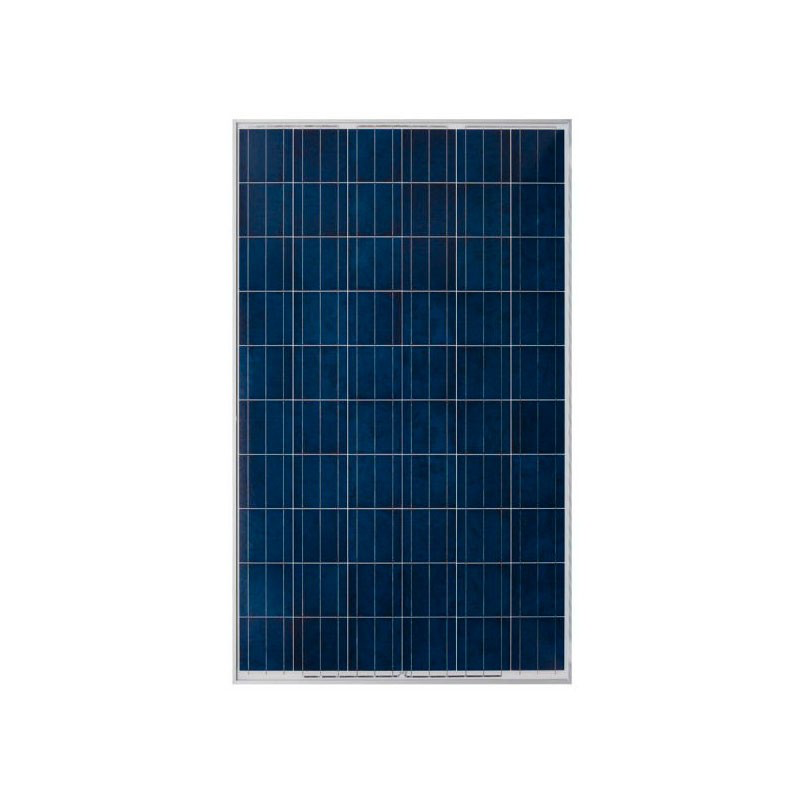 IFRISOL 165Wp Poly 12V Solar Panel 