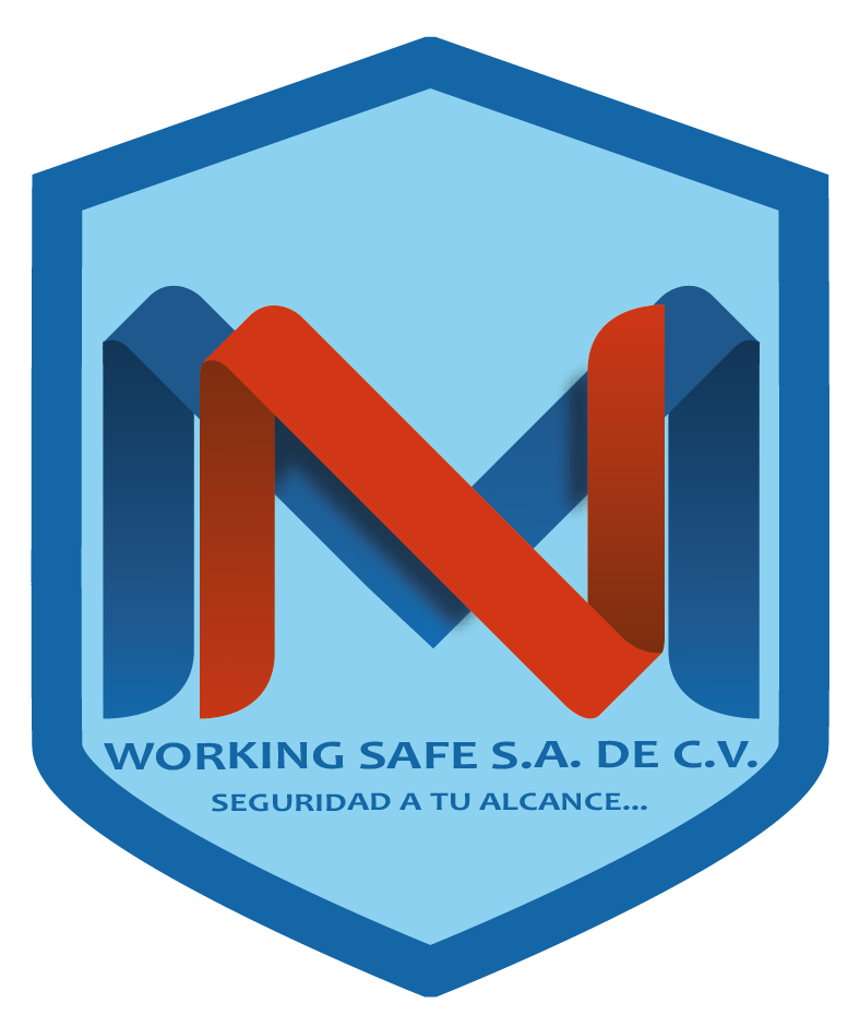 MN WORKING SAFE S.A. DE C.V.