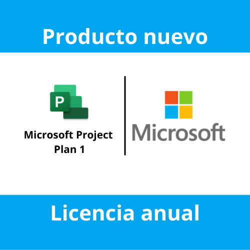 Microsoft Project plan 1